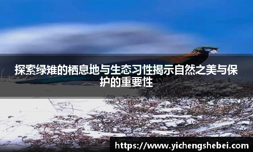 探索绿雉的栖息地与生态习性揭示自然之美与保护的重要性