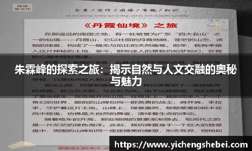 风云体育在线