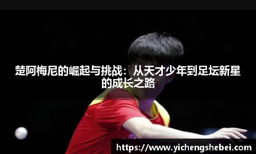 风云体育官方网址